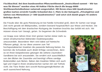 Bericht zum Pflanzwettbewerb 2021 in Rhein Main Verlag
