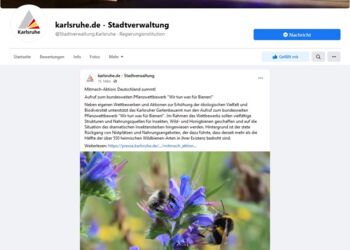 Post zum Pflanzwettbewerb 2021 auf Facebook, Stadtverwaltung Karlsruhe