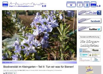 Bericht zum Pflanzwettbewerb 2021 in der BürgerZeitung Mönchengladbach & Umland