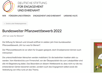 Bericht zum Pflanzwettbewerb 2022, Deutsche Stiftung für Engagment und Ehrenamt