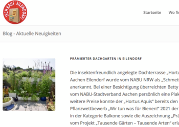 Bericht zum Pflanzwettbewerb 2021 im Blog von Isch Kauf' Eilendorf!