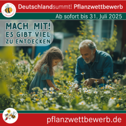 Deutschland summt!-Pflanzwettbewerb 2025, Sharepic