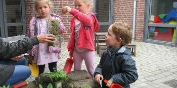 Deutschland summt!-Pflanzwettbewerbs 2025: Foto eines Gewinnerbeitrags