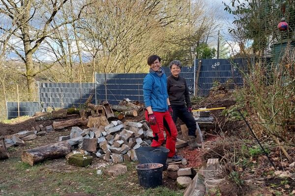 Deutschland summt!-Pflanzwettbewerbs 2025: Foto eines Gewinnerbeitrags
