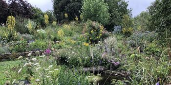 Deutschland summt!-Pflanzwettbewerbs 2025: Foto eines Gewinnerbeitrags