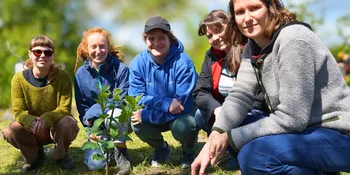 Deutschland summt!-Pflanzwettbewerbs 2025: Foto eines Gewinnerbeitrags