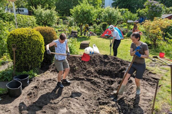 Deutschland summt!-Pflanzwettbewerb 2024: naturnahe Gestaltung