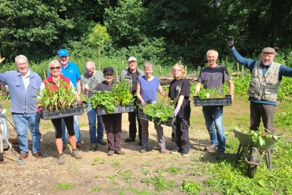 Deutschland summt!-Pflanzwettbewerb 2024: naturnahe Gestaltung