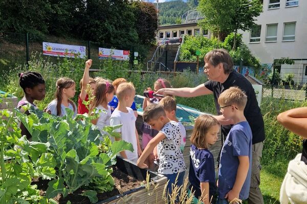 Deutschland summt!-Pflanzwettbewerbs 2025: Foto eines Gewinnerbeitrags
