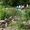 © Freundschaftsgarten Wald-Michelbach