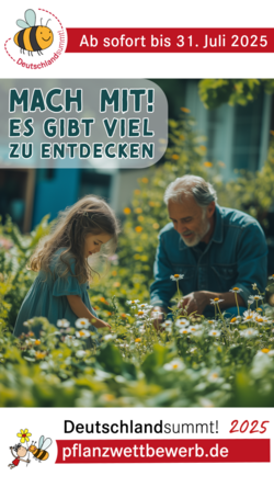 Deutschland summt!-Pflanzwettbewerb 2025, Sharepic
