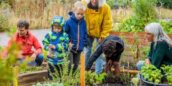 Deutschland summt!-Pflanzwettbewerb 2024: naturnahe Gestaltung