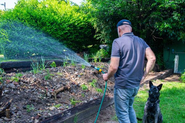 Deutschland summt!-Pflanzwettbewerb 2024: naturnahe Gestaltung