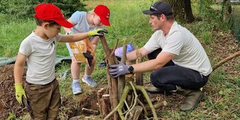 Deutschland summt!-Pflanzwettbewerbs 2025: Foto eines Gewinnerbeitrags