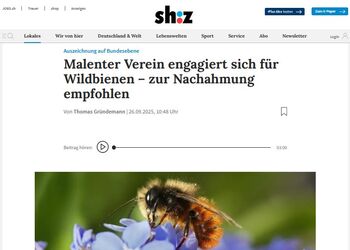 sh:z: Hinweis zum Deutschland summt!-Pflanzwettbewerb 2025