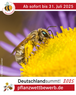 Deutschland summt!-Pflanzwettbewerb 2025, Sharepic