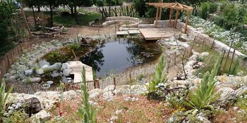 Deutschland summt!-Pflanzwettbewerbs 2025: Foto eines Gewinnerbeitrags