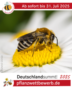 Deutschland summt!-Pflanzwettbewerb 2025, Sharepic