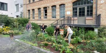 Deutschland summt!-Pflanzwettbewerb 2024: naturnahe Gestaltung