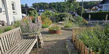 Deutschland summt!-Pflanzwettbewerbs 2025: Foto eines Gewinnerbeitrags