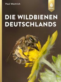 Buch: Die Wildbienen Deutschlands