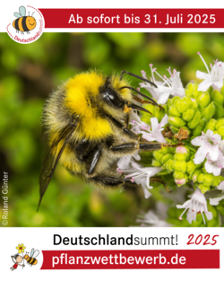 Deutschland summt!-Pflanzwettbewerb 2025, Sharepic