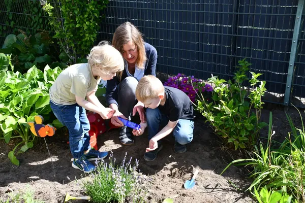 Deutschland summt!-Pflanzwettbewerbs 2025: Foto eines Gewinnerbeitrags