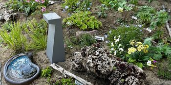 Deutschland summt!-Pflanzwettbewerbs 2025: Foto eines Gewinnerbeitrags