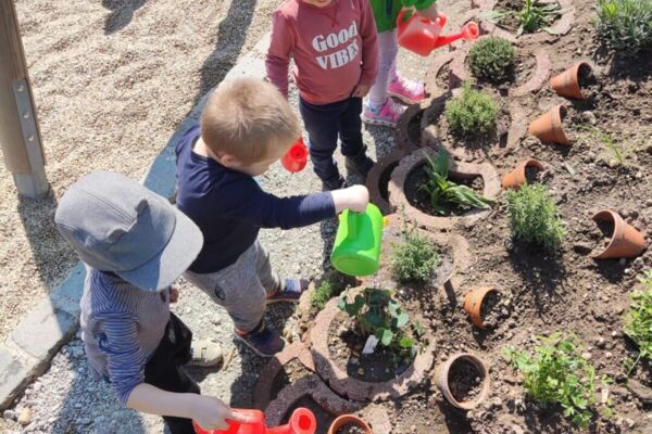 Deutschland summt!-Pflanzwettbewerb 2024: naturnahe Gestaltung