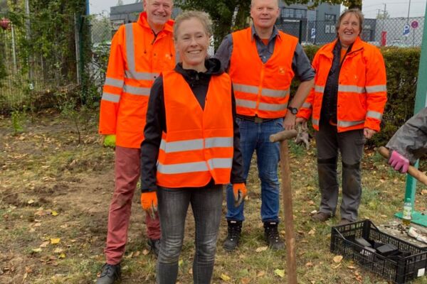 Deutschland summt!-Pflanzwettbewerb 2024: naturnahe Gestaltung