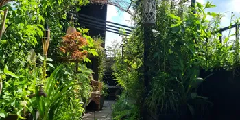 Deutschland summt!-Pflanzwettbewerbs 2025: Foto eines Gewinnerbeitrags