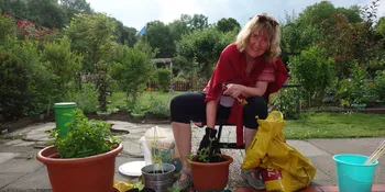 Deutschland summt!-Pflanzwettbewerbs 2025: Foto eines Gewinnerbeitrags