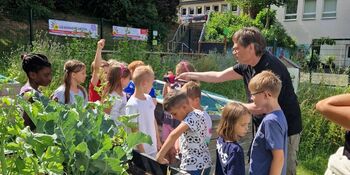 Deutschland summt!-Pflanzwettbewerbs 2025: Foto eines Gewinnerbeitrags
