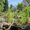 © Naturgarten.gold.wild.bunt / Christiane und Matthias